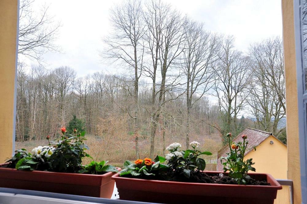 Au Jardin De Lisa Bed & Breakfast Cherreau Luaran gambar