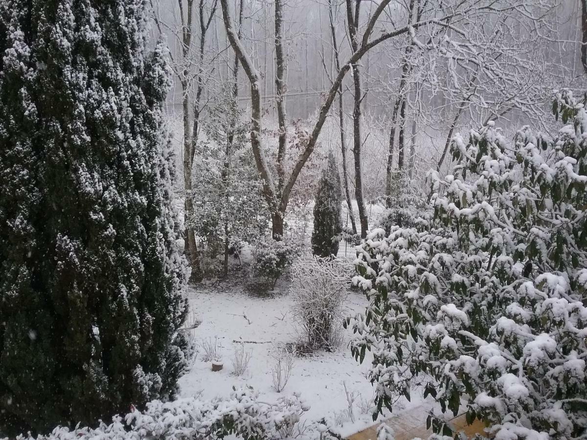 Au Jardin De Lisa Bed & Breakfast Cherreau Luaran gambar